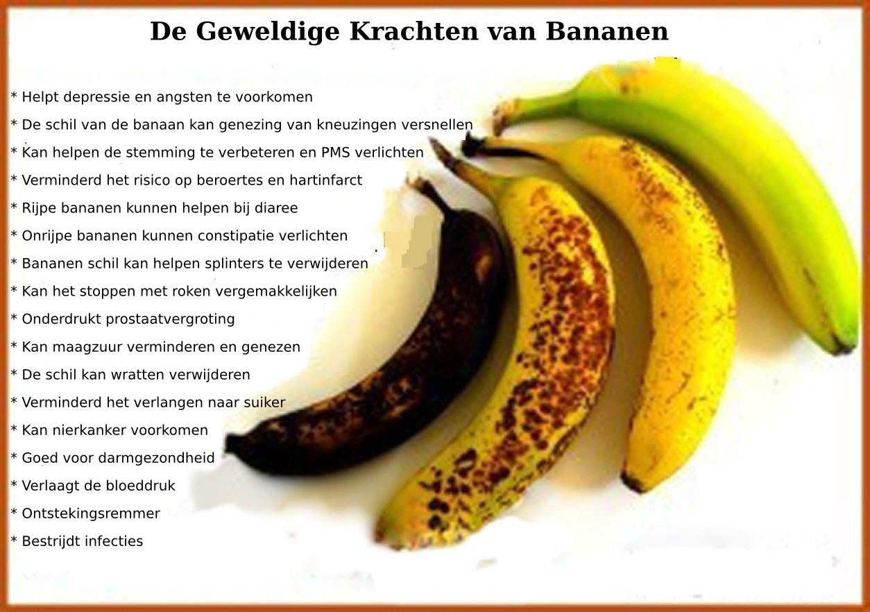 Alles Over Bananen