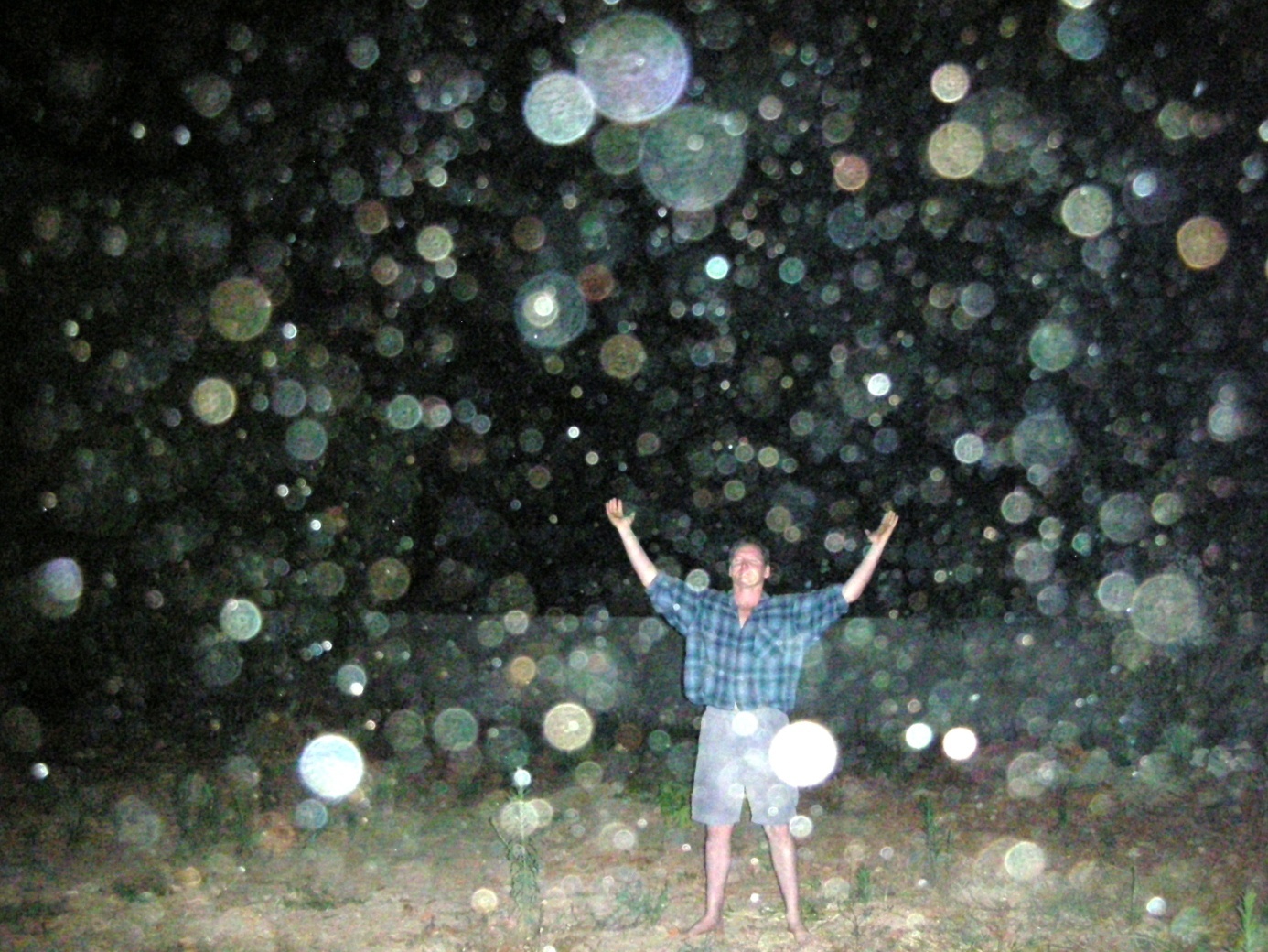 orbs